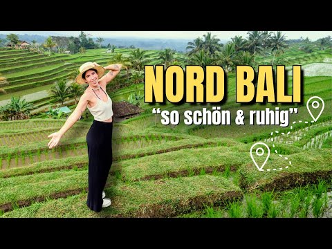 Nord Bali Reiseguide 2025 🇮🇩 Lovina, Wasserfälle, Tempel & unsere ehrlichen Erfahrungen
