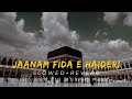 Jaanam Fida-e-Haideri (Slowed + Reverb)