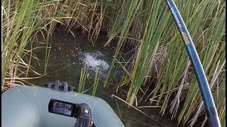Как сделать удочку с кивком для осенней ловли
