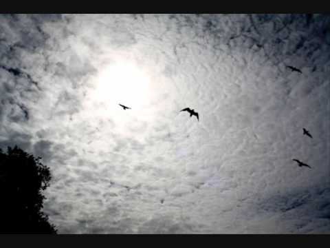 Gilfo - Mi hanno detto