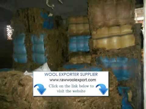 China raw wool suppliers