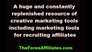 eToro Partners  Create a Personal Partnership With eToro   forex affiliate netwo