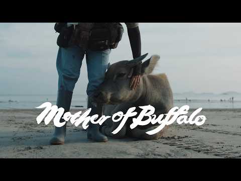 Mother of Buffalo thumbnail