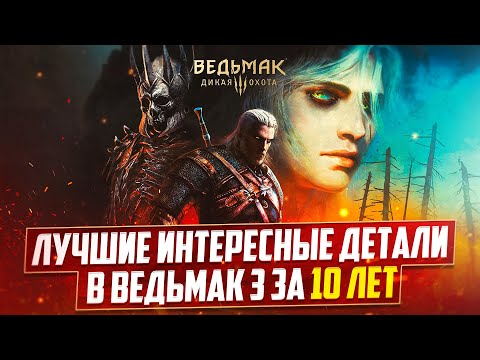 Лучшие Интересные Детали в Ведьмак 3 Дикая Охота за 10 лет