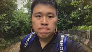 This is my dream cover by kashy keegan