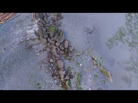 download lagu mp3 mp4 Cedar By The Sea, download lagu Cedar By The Sea gratis, unduh video klip Cedar By The Sea