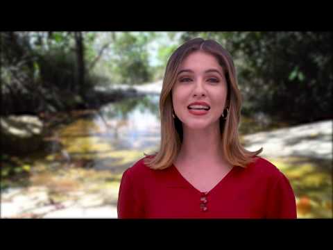 07 - PGM ISTO É SERGIPE 2019 - TURISMO DE AVENTURA - BLOCO 1