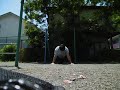 100 Push Ups+Reverse Grip 21 Muscle ups 腕立て伏せ100回+逆手マッスルアップ21回
