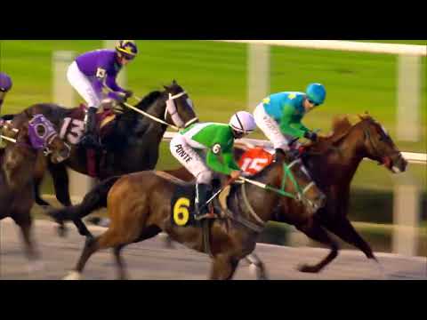 220723 c09 COLT MAGNO (BRZ)