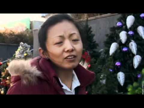 CBN NewsWatch: December 20, 2010 - CBN.com