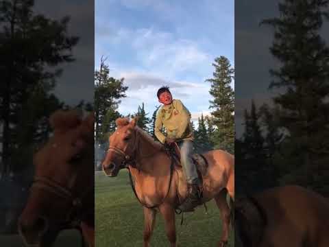 Монгол хүүгийн Заллага Zallaga дууг хээгүй сайхан дуулсан видео