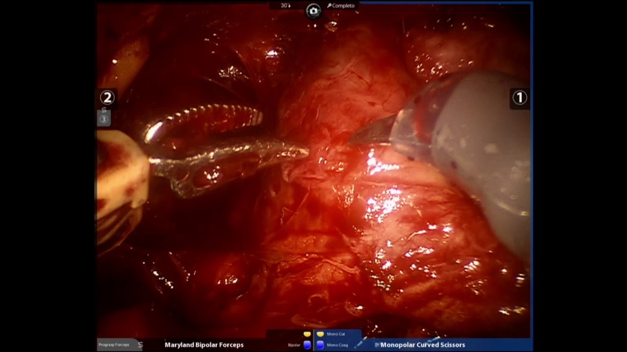 Adolfo Henrique Oliveira-10