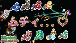 【Terraria 】Ver 1.4.5ムチが沢山あります