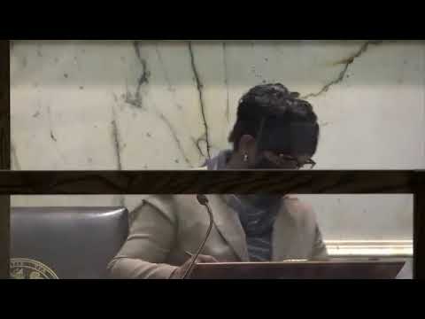 House Floor Session, 2/26/2021 #2