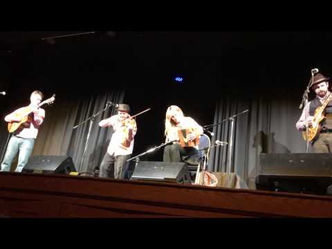 Sharon Shannon Concert March 14, 2017