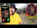 OIIAOIIA CAT Is Calling NIKPIG Spinning Cat Meme Remix 2025 Comedy Parody