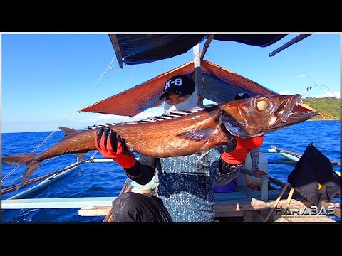 EP529-Part 2 - Snake Mackerel and Ruby Snapper Catch and Cook | Occ. Mindoro