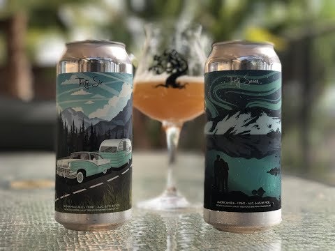 Blind Battle Beers! Tree House Brewing Curiosity 36 vs Curiosity 37!