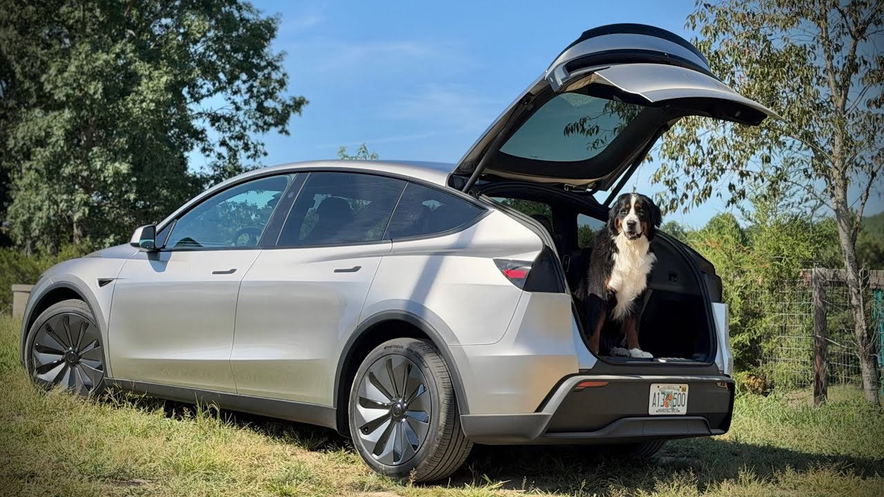 Tesla Model Y L driving on FSD 14.3.9 with Out of Spec BITS
