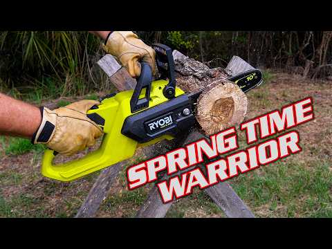 Ryobi 18 V Chainsaw