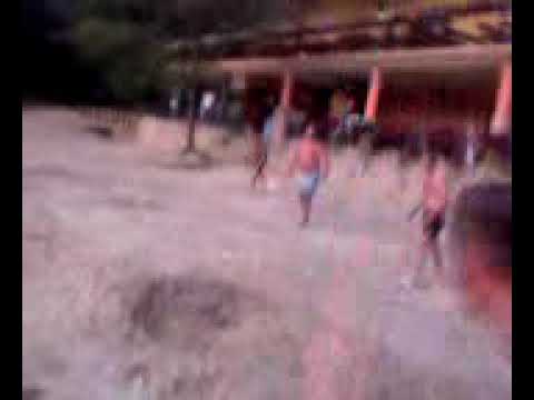 Dzicz z Gorzyc w Golejowie :) pooozdro ziooomy !!!