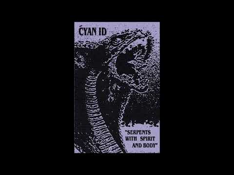 Ćyan ID -- Run Away You Bastard