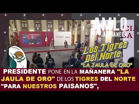 AMLO: pone en la mañanera "La Jaula de Oro" de Los Tigres del Norte"Para nuestros paisanos",🇺🇸🇲🇽