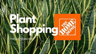 A few Hidden Gems at Home Depot | Plant Shopping