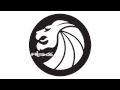 Seven Lions (feat. Fiora) - Days To Come (Alex S ...