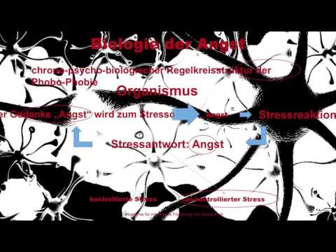 Behandlung von Prostatitis zu Hause schnellen Video BPH und sexuelle Aktivität