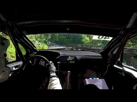RALLY PIANCAVALLO 2022 PETOZZI-ZANETTI PEUGEOT 208 R2B