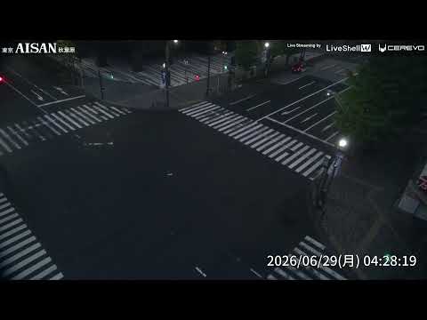 Tokyo Chiyoda - Akihabara live cam