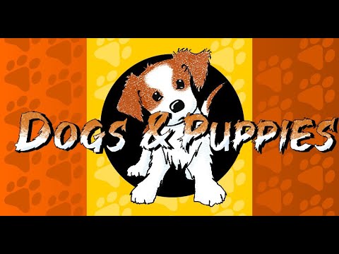 Dogs & Puppies: Dress them up!