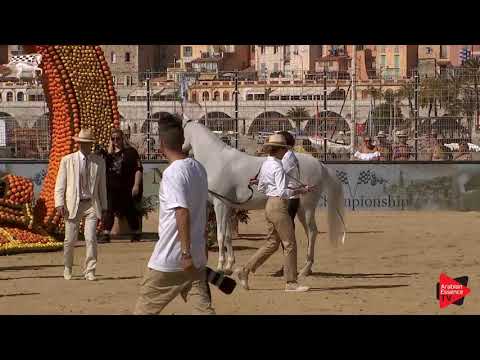 N.72 NAWAAL AL RAYYAN - Menton 2019