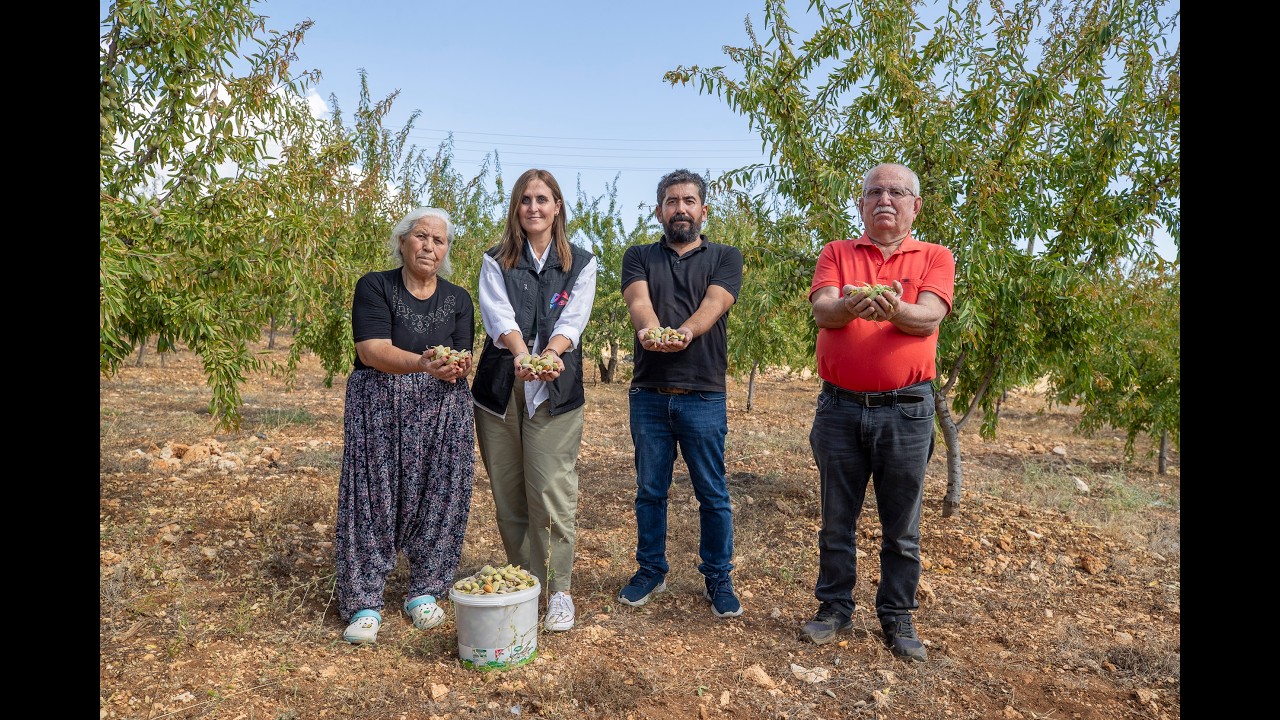 GÜLNAR’DA 23 BİN 288 ADET BADEM FİDANI MEYVE VERMEYE BAŞLADI