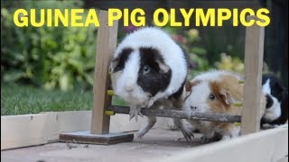 Miniature vidéo