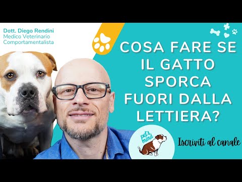 I vermi più terribili per la persona Causa helminths