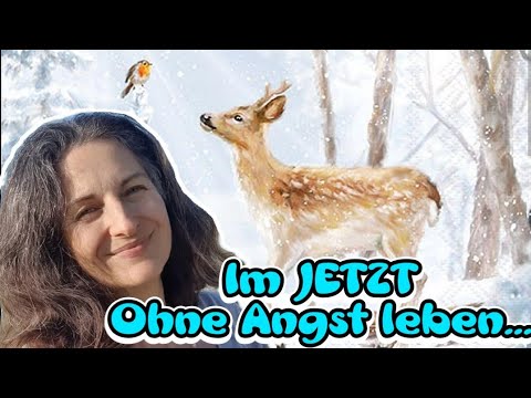 Neues Update: Was geschah auf der Autofahrt in die Schweiz? Nancy Holten