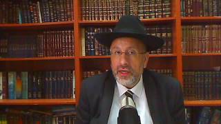 Nos sages racontent LE PROPHETE ELICHA laisse les ours hiberner !