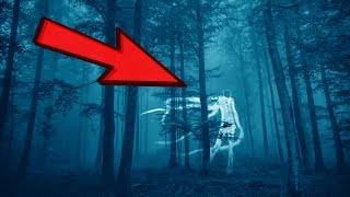 10 Most Haunted Forests to Avoid