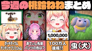 【12月2週目】今週の桃鈴ねね面白シーンまとめ【桃鈴ねね 湊あくあ ホロライブ 切り抜き動画】ねねち最強伝説