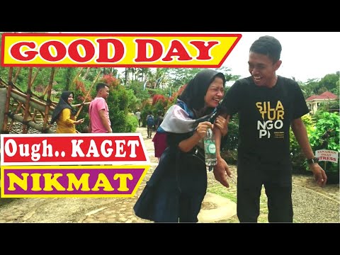 tanaman-obat-stres-with-bushman-prank-di-wisata-pereng-cilongok-prank-manusia-pohon