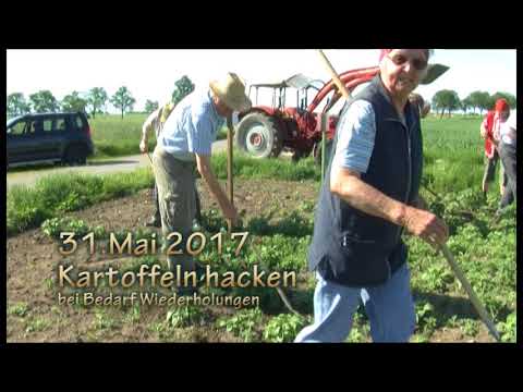 Plattdütsch Underwegens: Das Kartoffeljahr