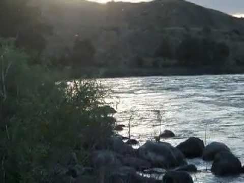 Yellowstone River Salmon Fly Hatch 2012