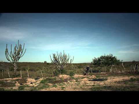 Olhe pra mim de novo - Trailer Oficial