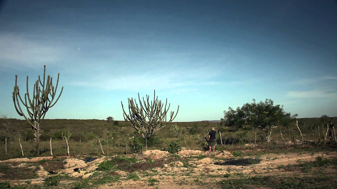 Olhe pra mim de novo - Trailer Oficial