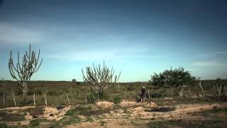 Olhe pra mim de novo - Trailer Oficial