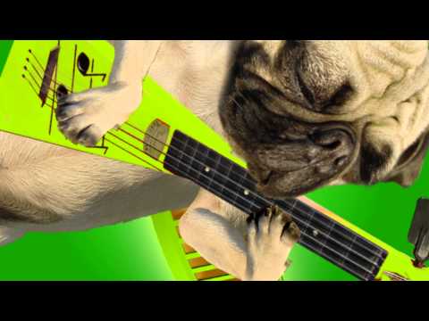 MUTATO MUZIKA - 2010 ANTI-MATED DVD TITLES