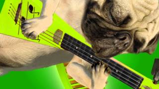 MUTATO MUZIKA - 2010 ANTI-MATED DVD TITLES