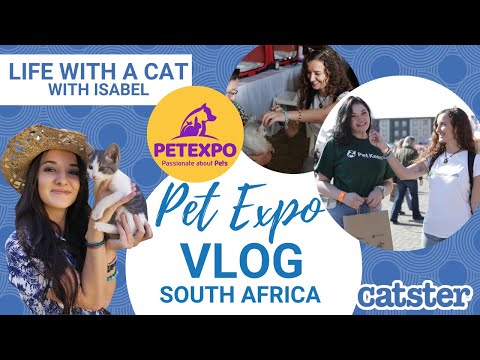 Pet Expo 2022 (Largest pet expo in Africa!) | Excited Cats